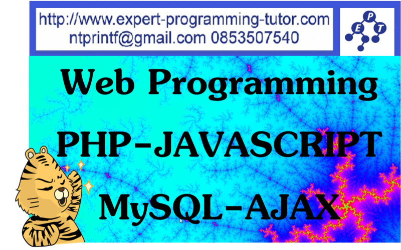 Expert-Programming-Tutor-Online-Learning