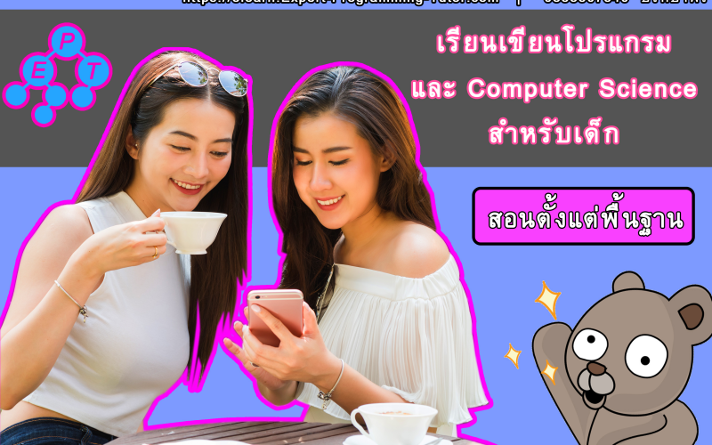 Expert-Programming-Tutor-Online-Learning