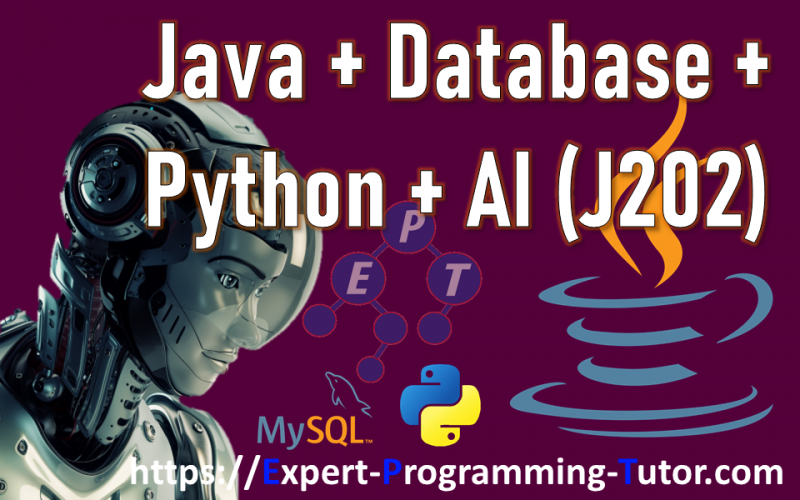 Expert-Programming-Tutor-Online-Learning