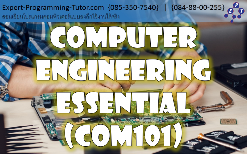 Expert-Programming-Tutor-Online-Learning