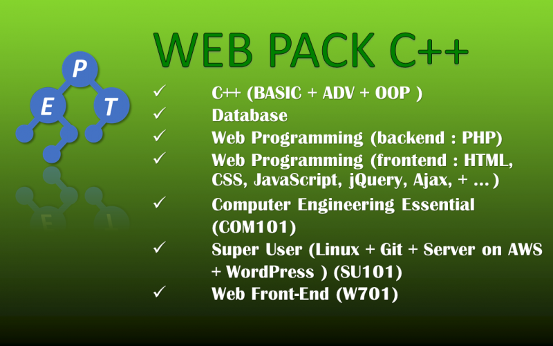 Expert-Programming-Tutor-Online-Learning