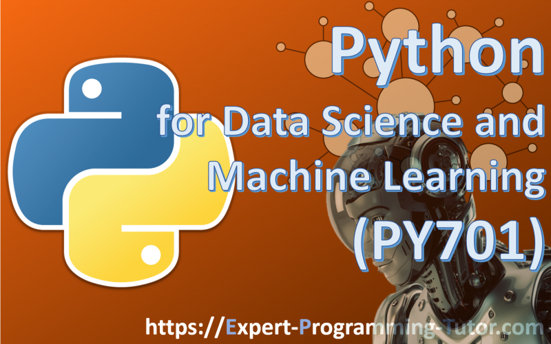 Expert-Programming-Tutor-Online-Learning