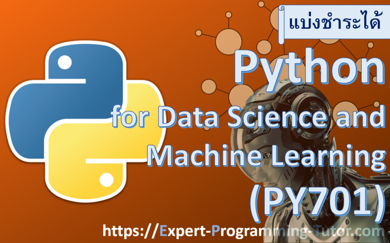 Expert-Programming-Tutor-Online-Learning
