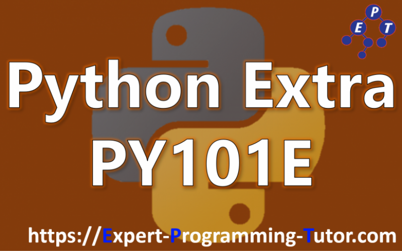 Expert-Programming-Tutor-Online-Learning