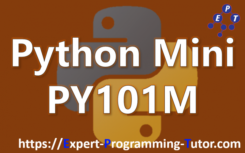 Expert-Programming-Tutor-Online-Learning