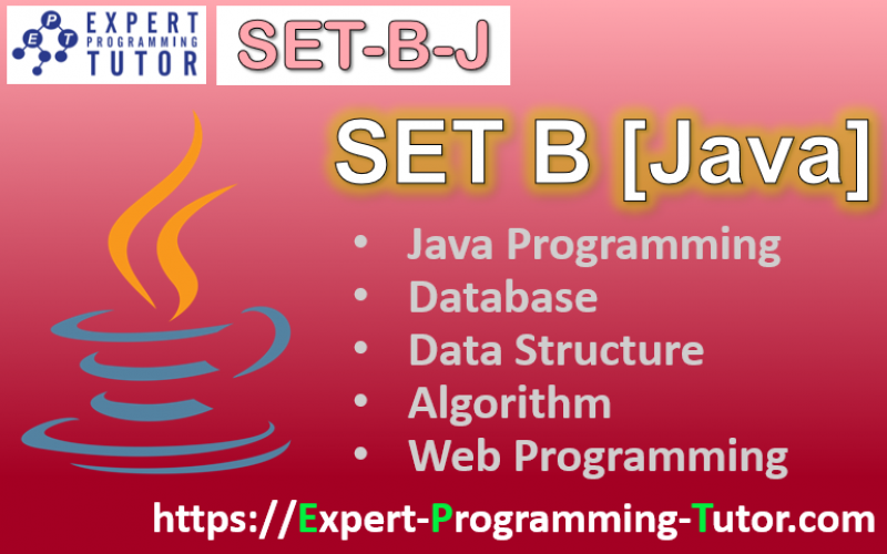 Expert-Programming-Tutor-Online-Learning