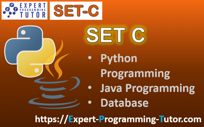 Expert-Programming-Tutor-Online-Learning