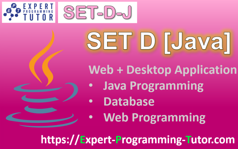 Expert-Programming-Tutor-Online-Learning