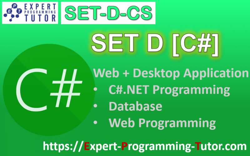 Expert-Programming-Tutor-Online-Learning