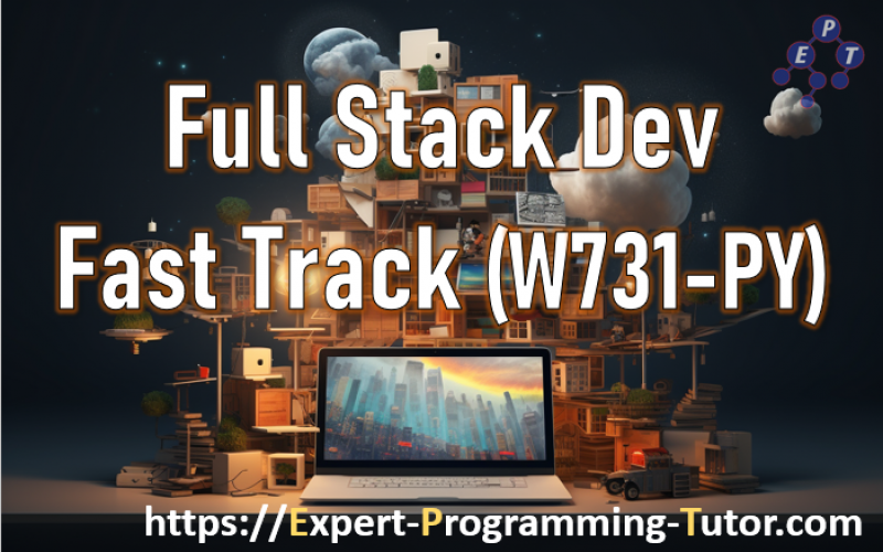 Expert-Programming-Tutor-Online-Learning