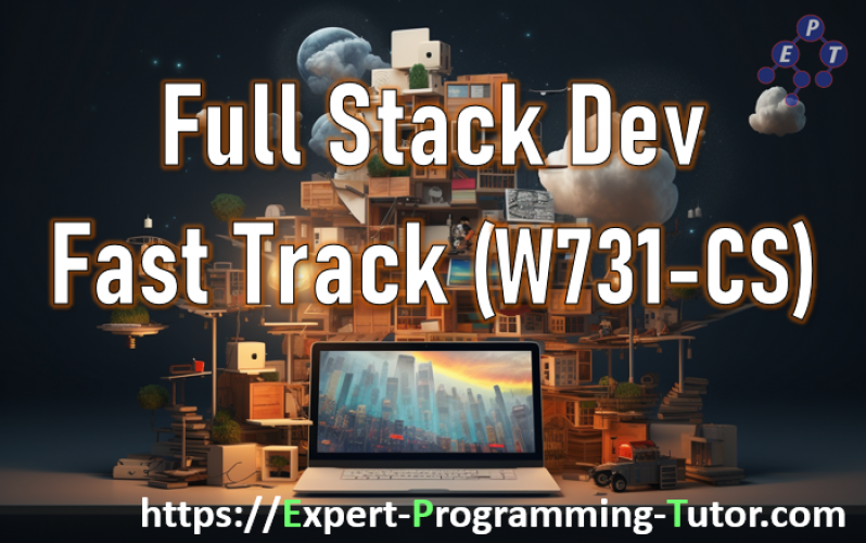 Expert-Programming-Tutor-Online-Learning