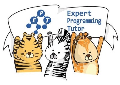 Expert-Programming-Tutor-Online-Learning